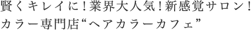 賢くキレイに！業界大人気！新感覚サロン！カラー専門店“ヘアカラーカフェ”